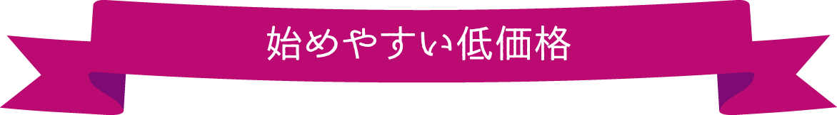 始めやすい低価格