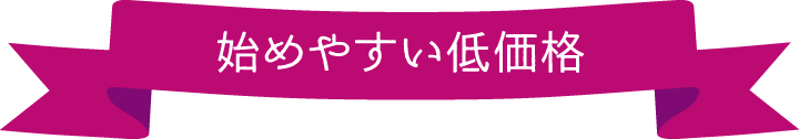 始めやすい低価格